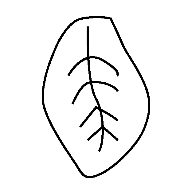 LEAF