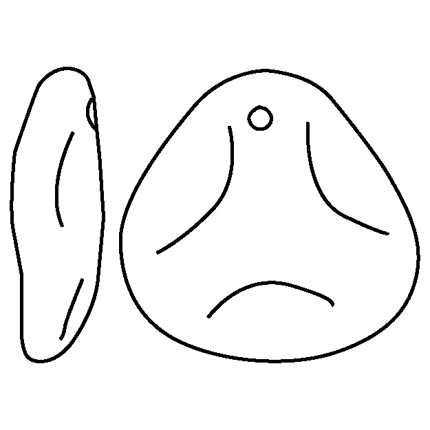 PETAL